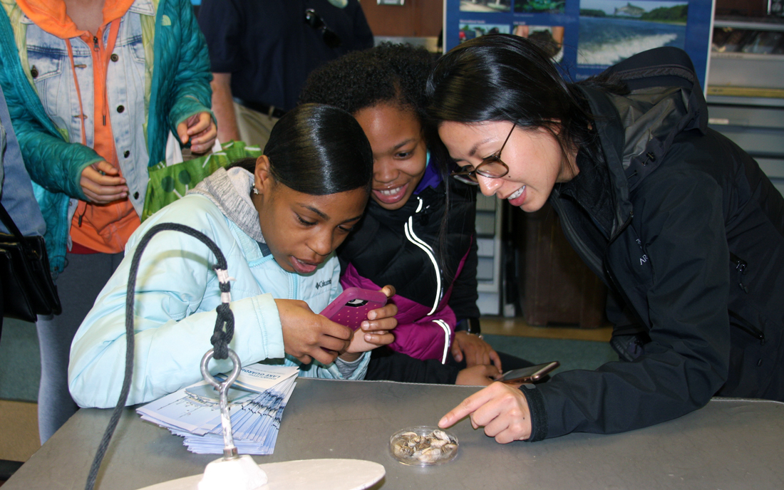 Students from King College Prep inspecting quagga mussels with their science teacher