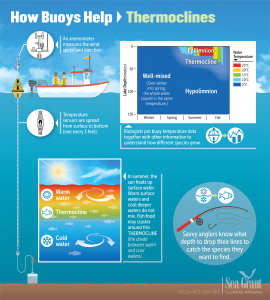 Thermoclines Infographic