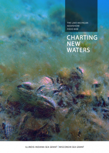 Charting New Waters publication cover