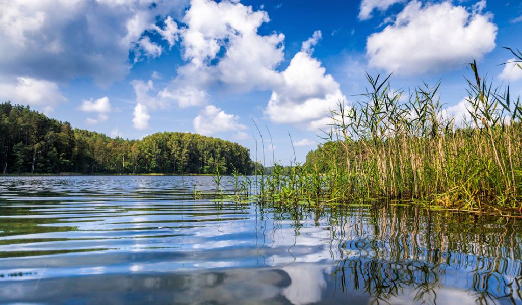 Climate change poses uncertain future for Indiana’s aquatic habitats - Illinois-Indiana Sea 