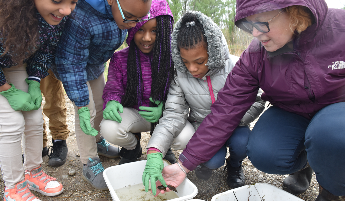 students gather around a tadpole, one of them is reaching out her hand to touch it