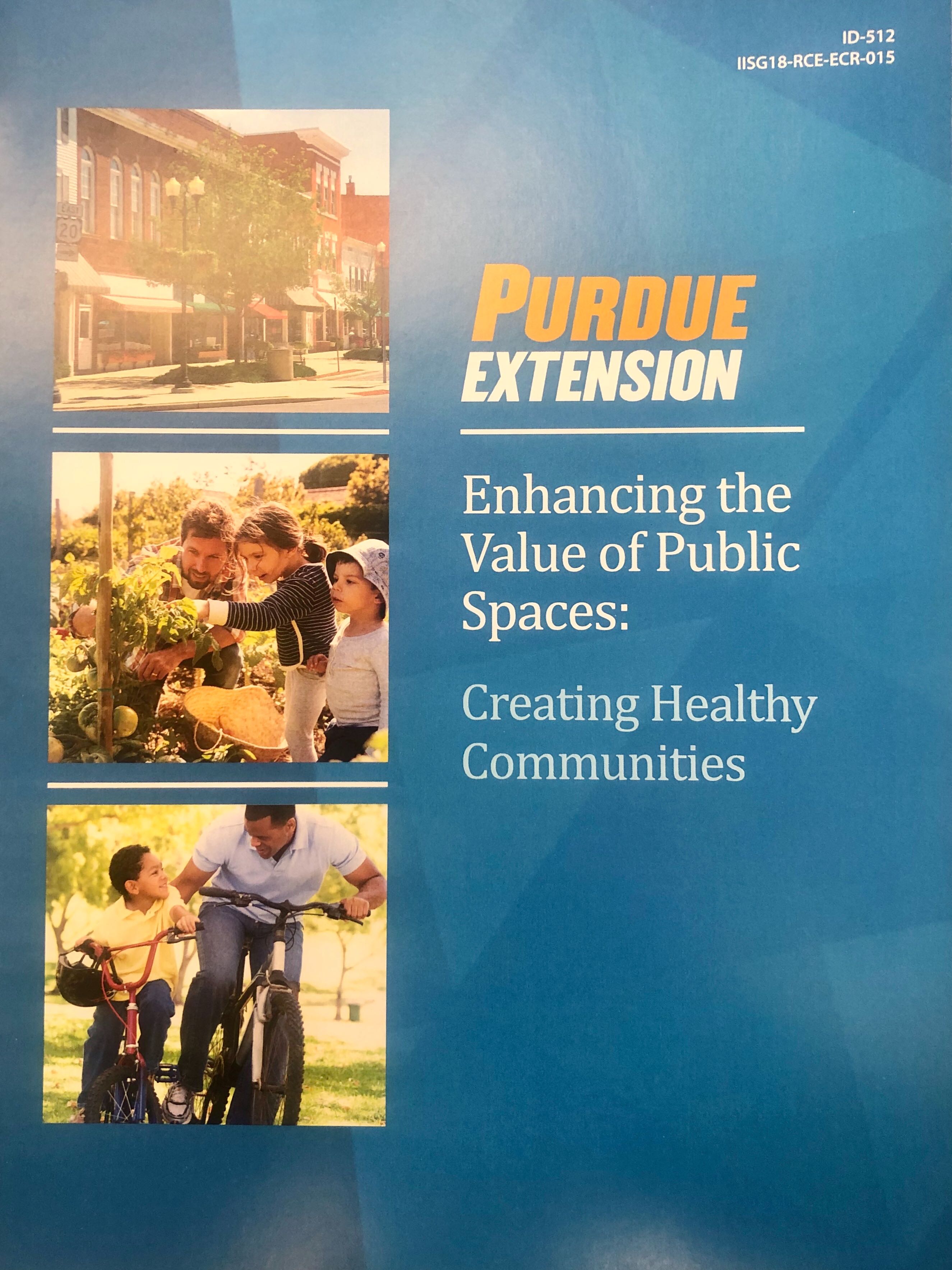 Enhancing the Value of Public Spaces: Creating Healthy Communities Thumbnail