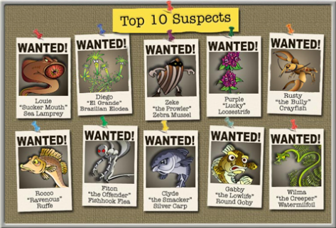 "Top 10 Suspects" board with "wanted" posters of several aquatic invasive species