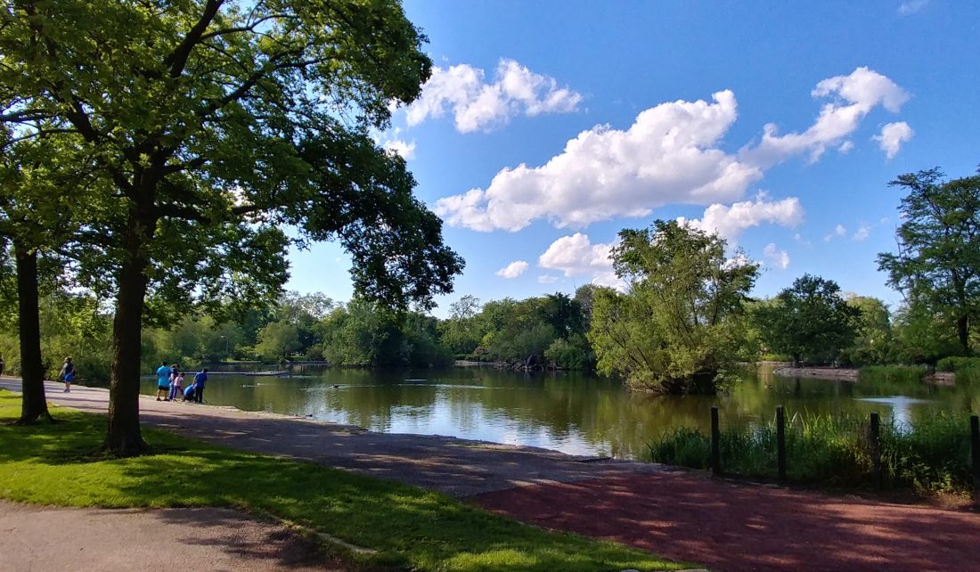 sunny day at a public park with a body of water