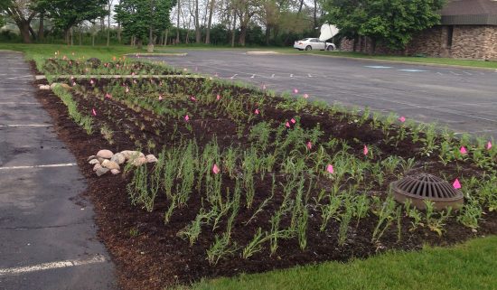 impervious surface of a parking lot with rainscaping section set up in the middle to help reduce stormwater runoff
