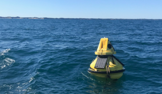 damaged yellow buoy floating in the waters of Lake Michigan