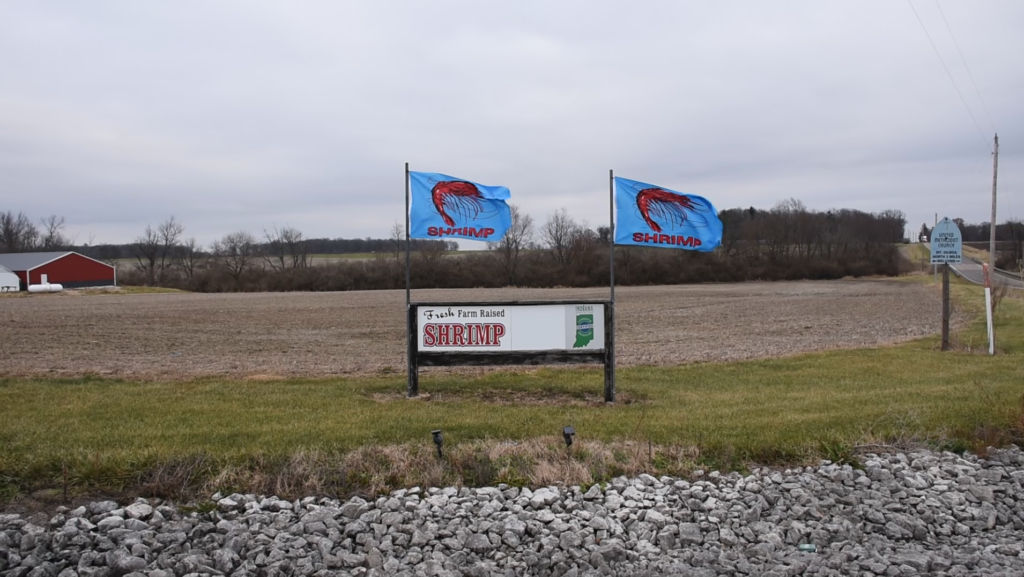 RDM shrimp sign near country road, with red barn in the distance
