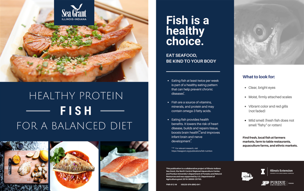 fish nutrition PDF screenshot - click link for accessible version