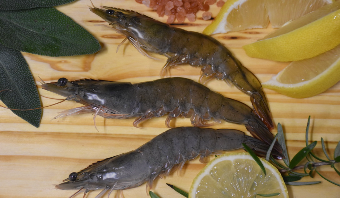 fresh shrimp laid out on a cutting board with lemon, herbs, and salt