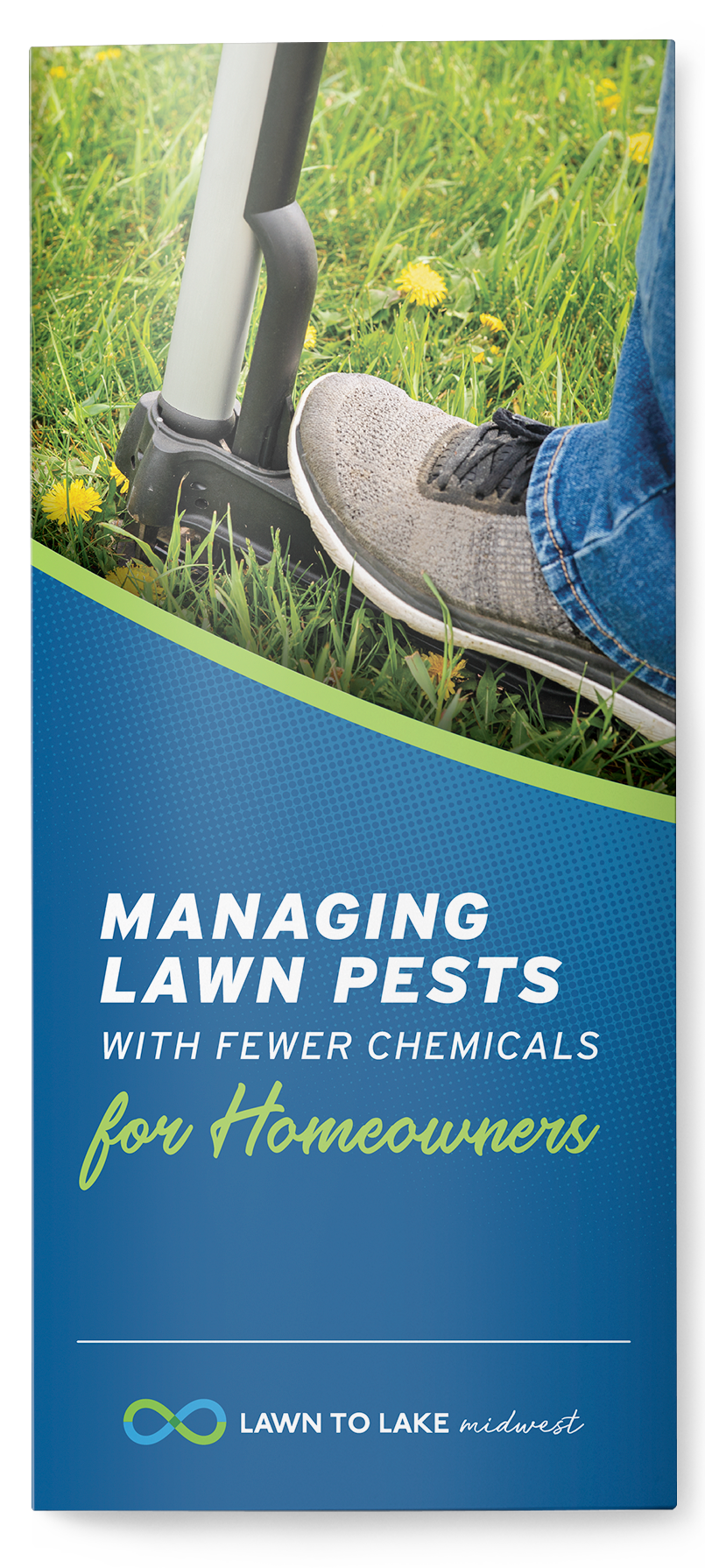 Managing Lawn Pests with Fewer Chemicals Thumbnail