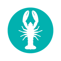 Invasive Crayfish Collaborative: Great Lakes Logo