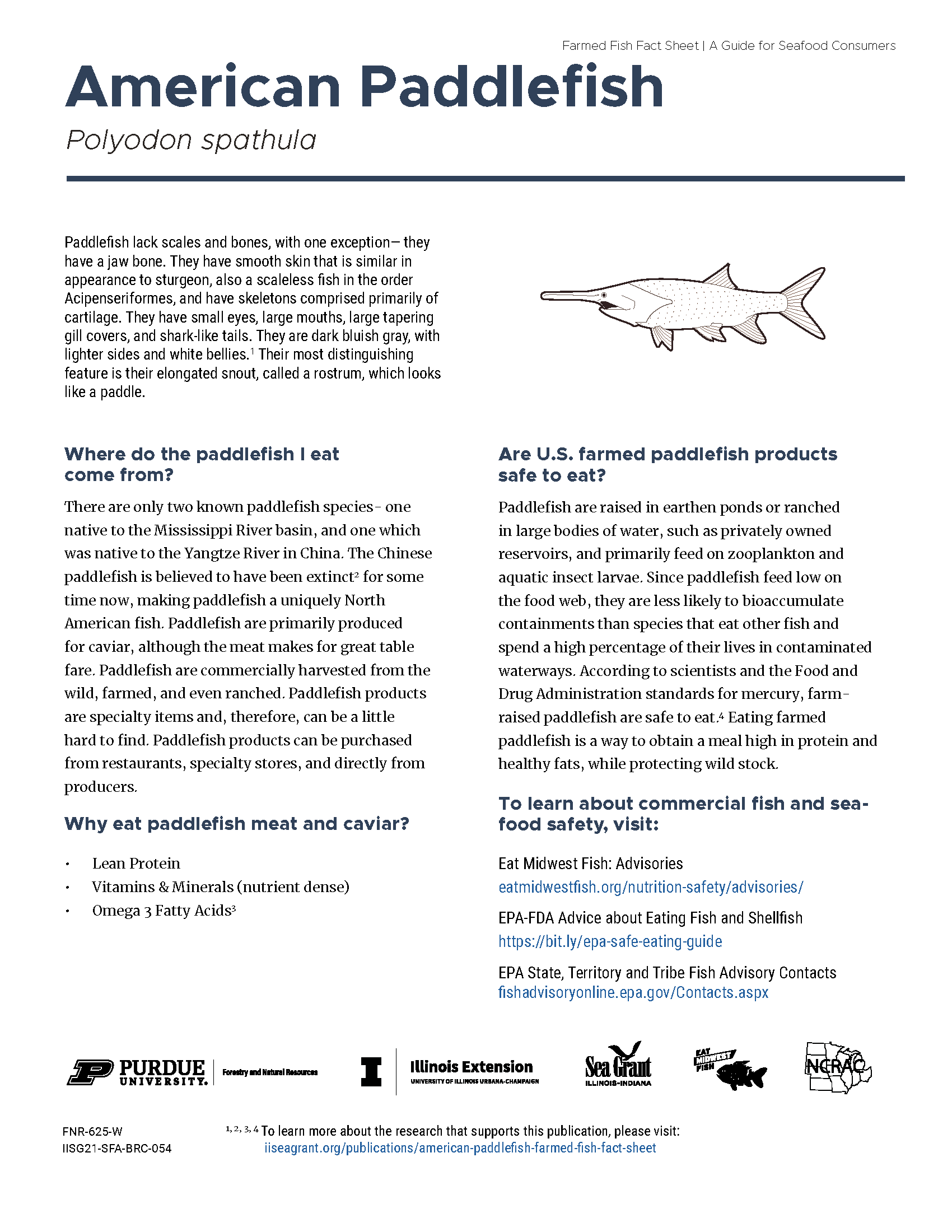 American Paddlefish Farmed Fish Fact Sheet Thumbnail