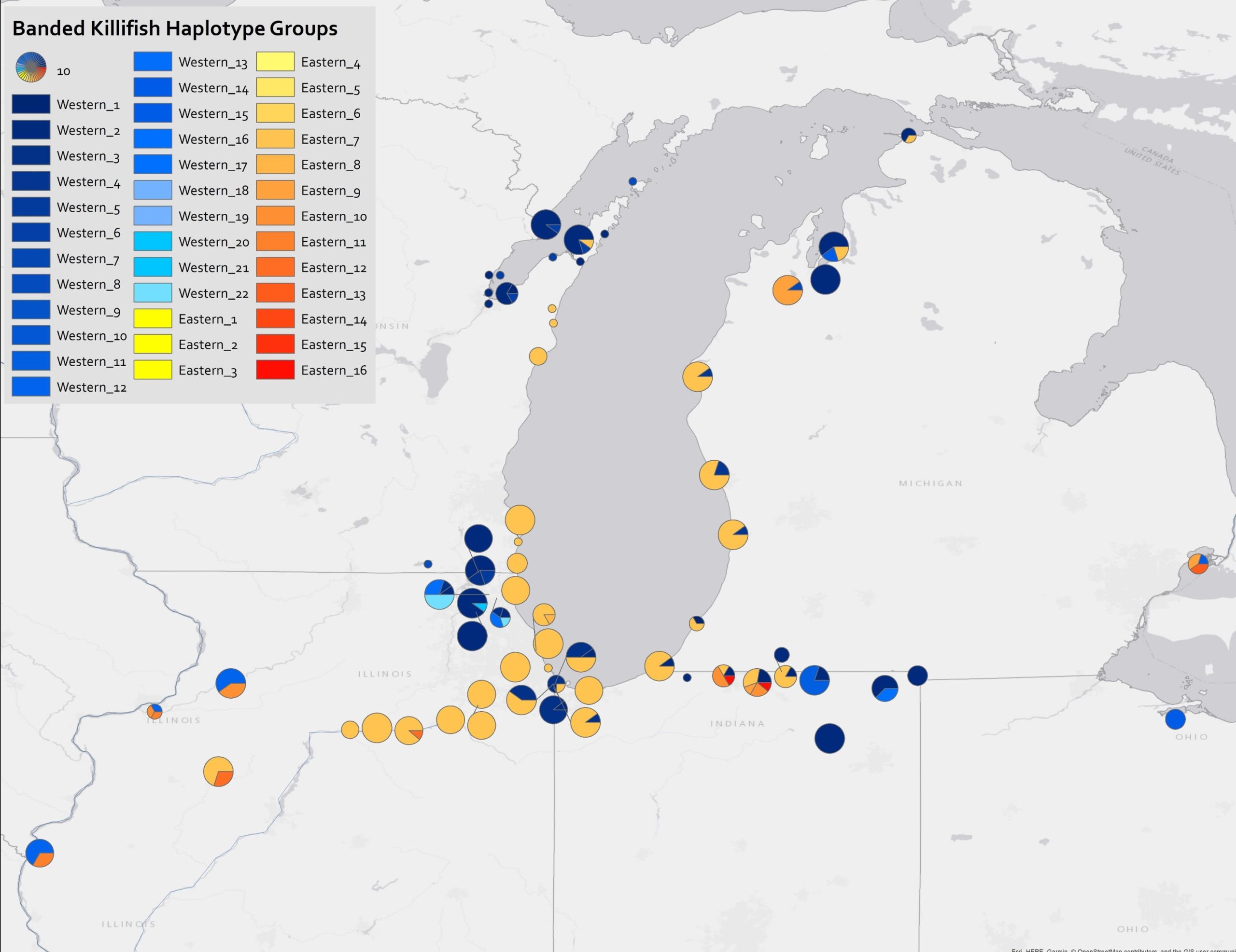 map featuring locations of eastern and western banded killifish subspecies around the Lake Michigan region