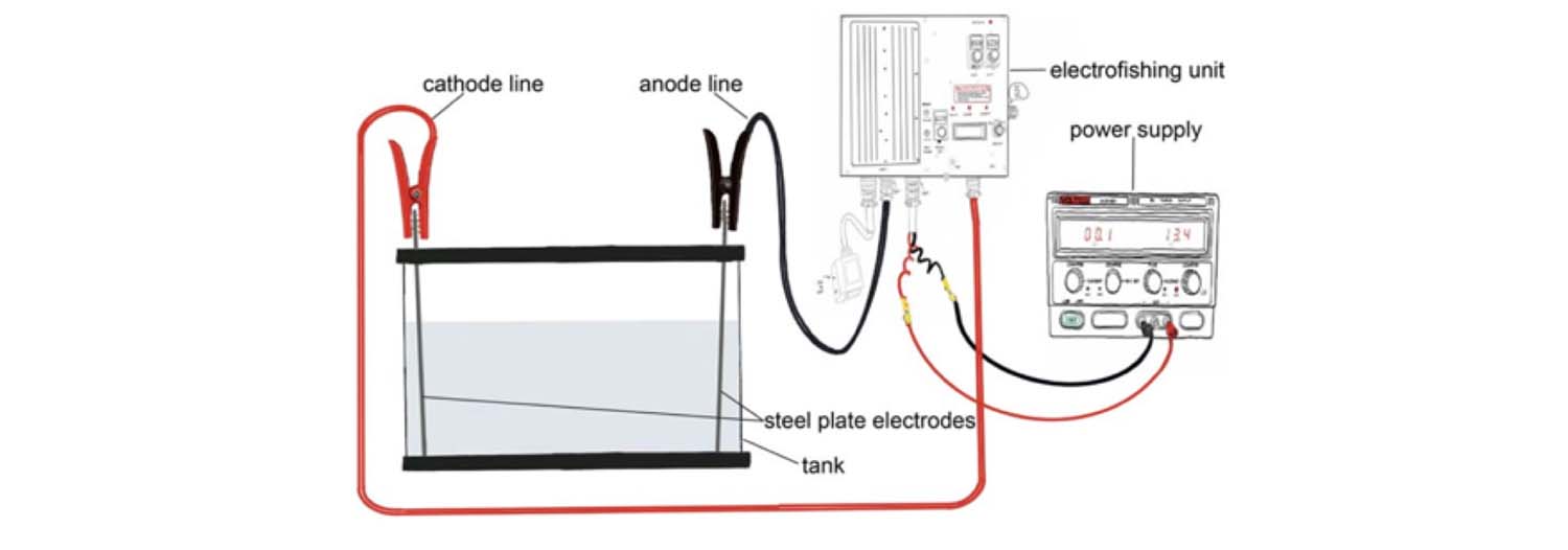 diagram of electric current experiment: tank filled with water, cathode and anode lines connected to steel plate electrodes, poower supply, and electrofishing unit