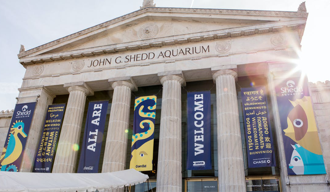 2023 Community Engaged Internships available for National Park Service ... - SheDD Aquarium Allarewelcome 1100x642