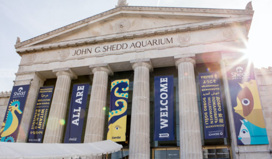 Shedd Aquarium building, Roman style architecture with columns in front. Building labeled John G. Shedd Aquarium, and there are banners hanging between the columns reading "all are welcome" with graphics of marine animals.