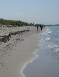 Beach Shoreline