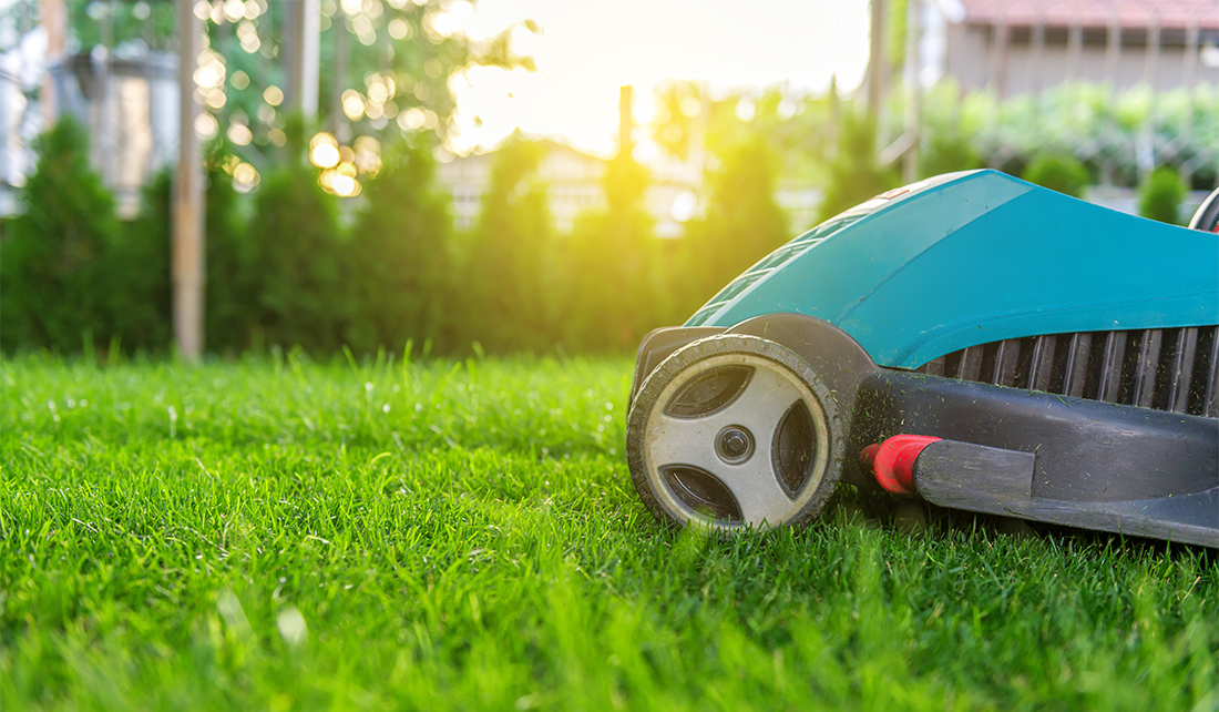 closeup of lawnmower on grass