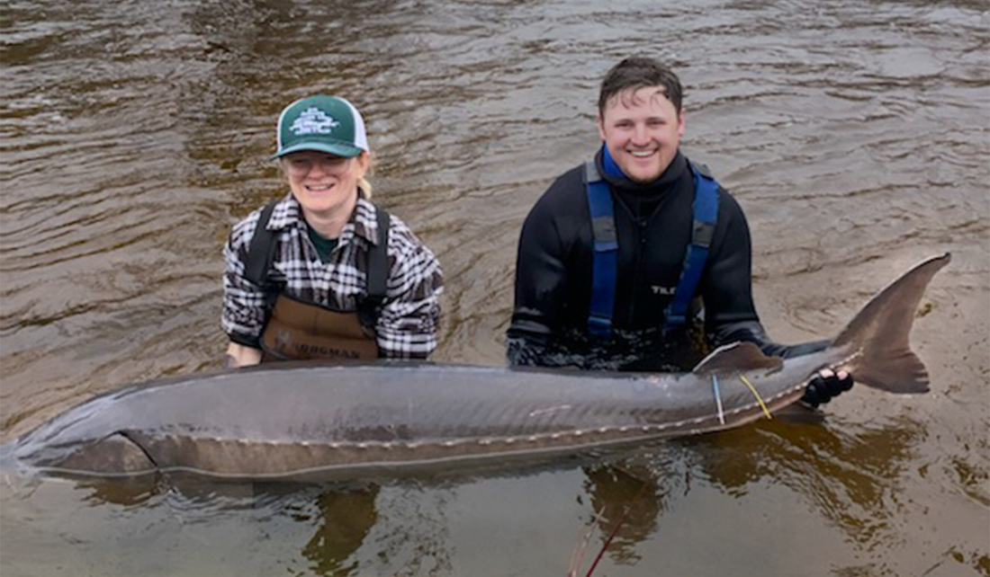 two people hold an adult sturgeon