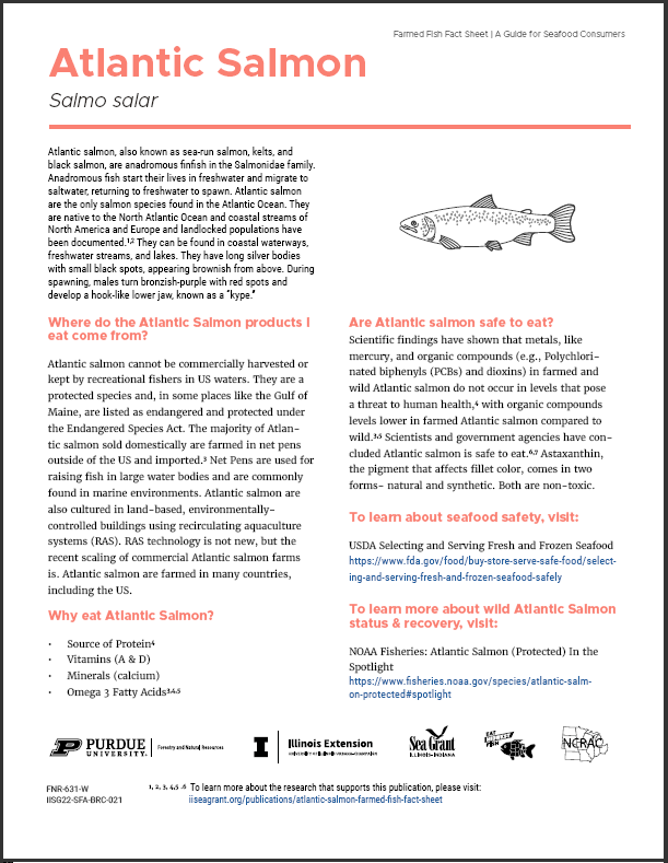 Atlantic Salmon: Farmed Fish Fact Sheet Thumbnail