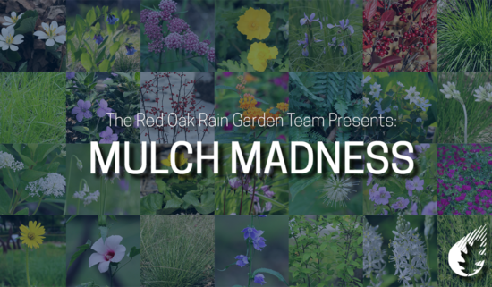 collage of native plants in background with text "The Red Oak Rain Garden Team Presents: MULCH MADNESS"