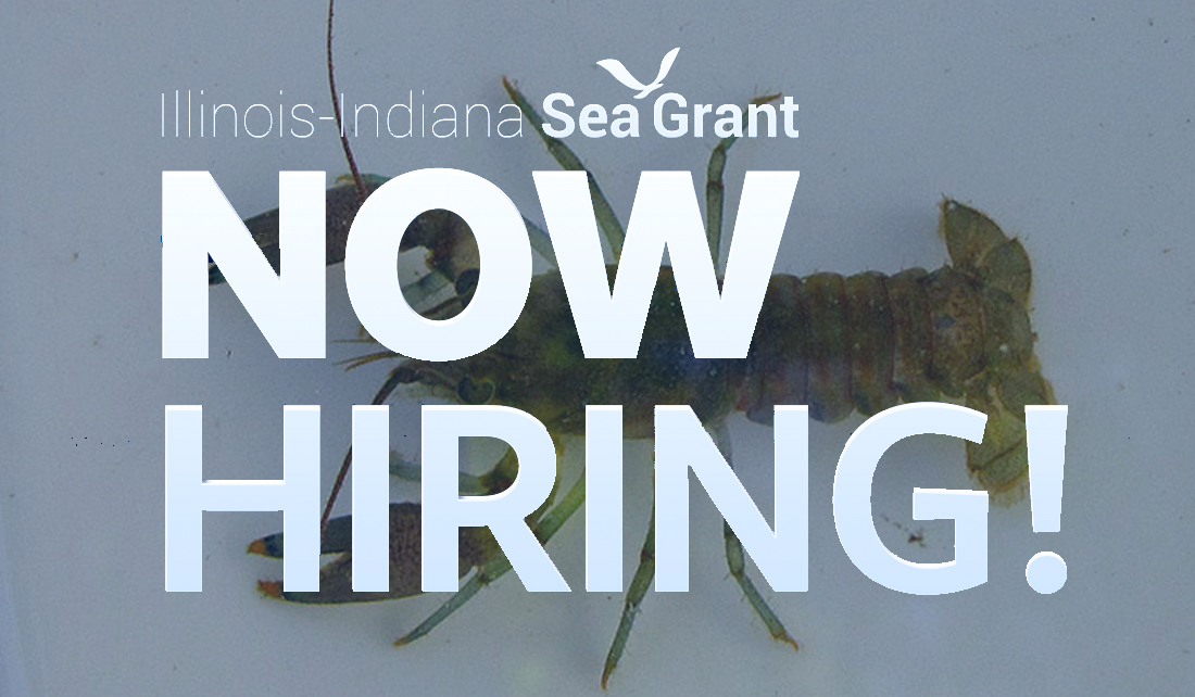 Illinois-Indiana Sea Grant NOW HIRING with crayfish in background