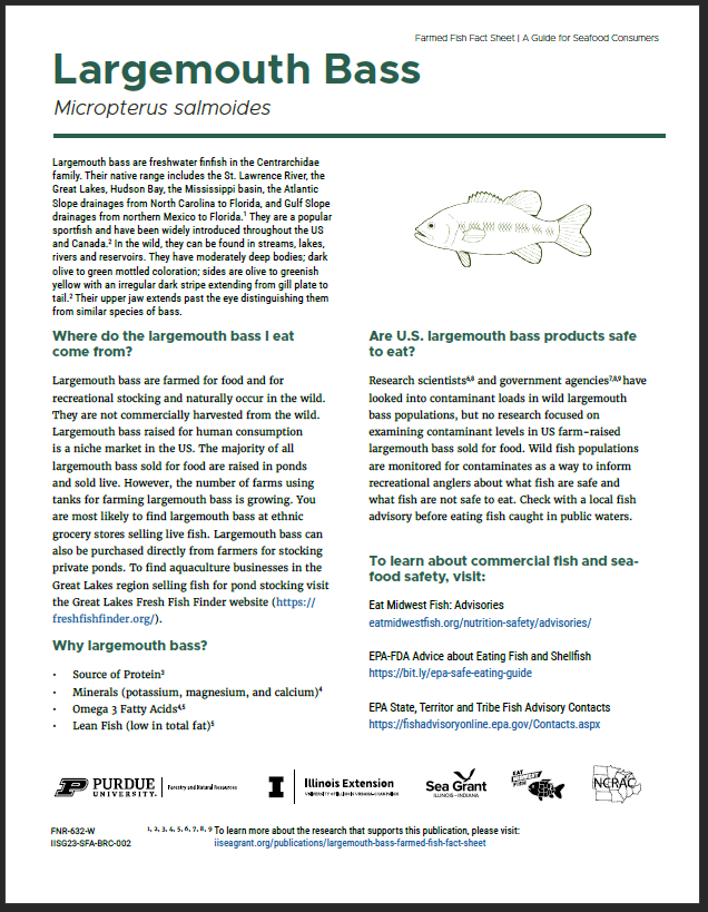 Largemouth Bass: Farmed Fish Fact Sheet Thumbnail