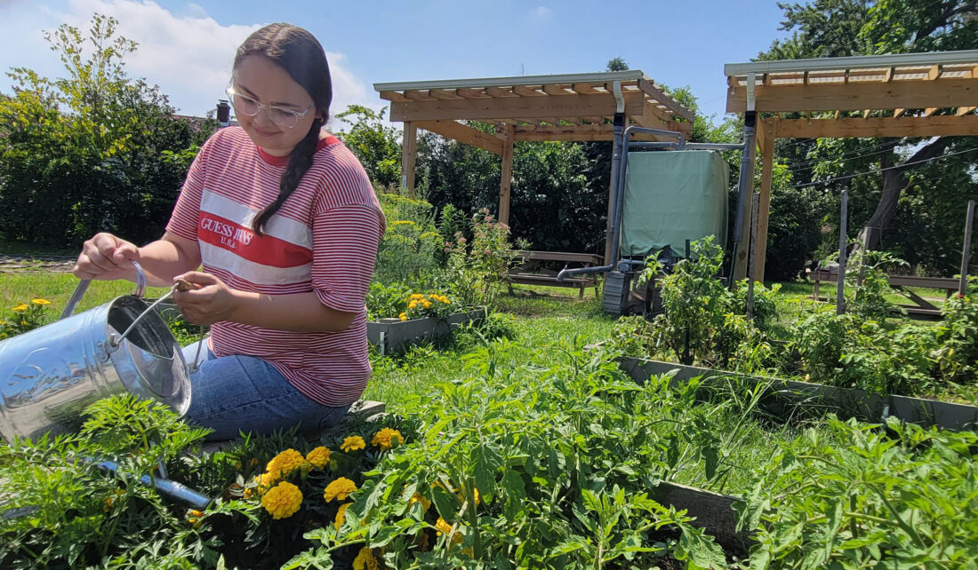 Green infrastructure helps communities—large and small—be ready for the  future - Illinois-Indiana Sea GrantIllinois-Indiana Sea Grant