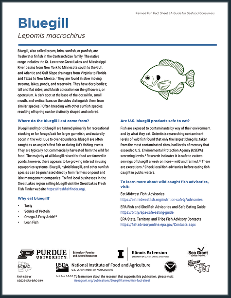 Bluegill: Farmed Fish Fact Sheet Thumbnail