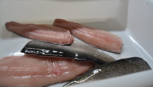 processed fish fillets