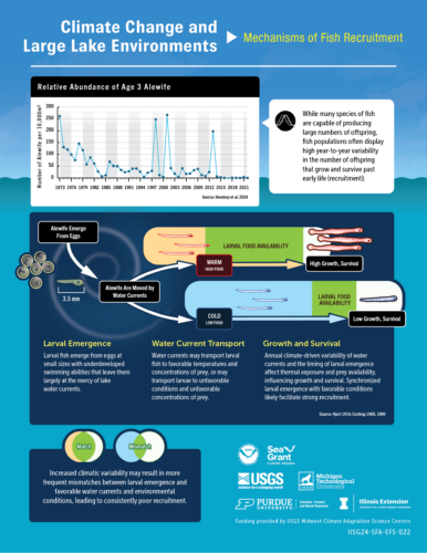 Image explaining the mechanisms of fish recruitment