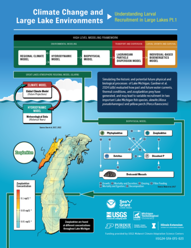 Image explaining larval recruitment in large lakes