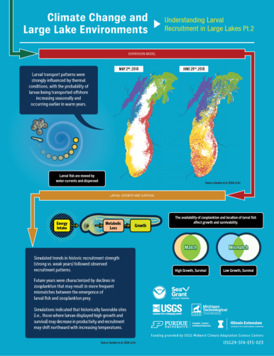 Image explaining larval recruitment, part 2