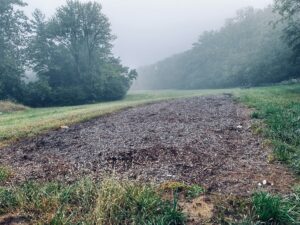 pic of a woodchip bioreactor site