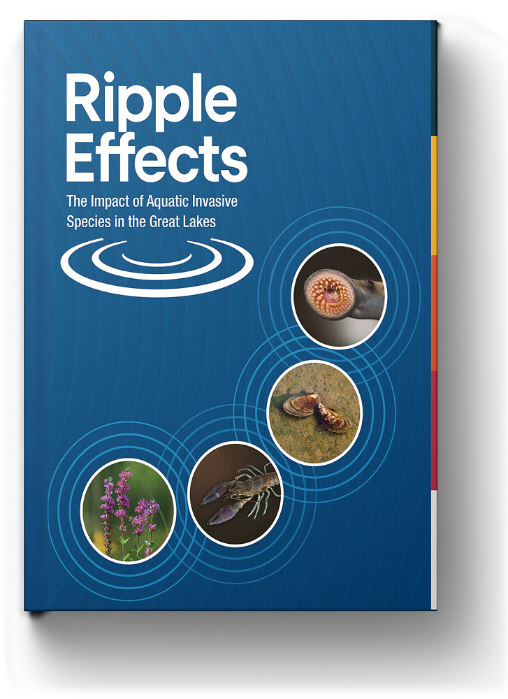 Ripple Effects - Illinois-Indiana Sea GrantIllinois-Indiana Sea Grant