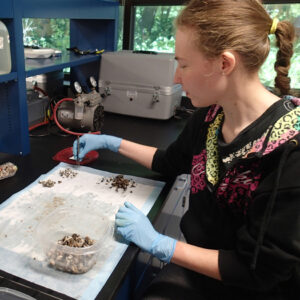 IISG intern Crystal Hall