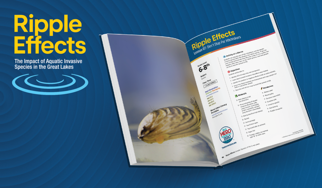 An open copy of the curriculum, Ripple Effects, next to the Ripple Effects design.
