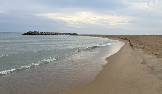 Along the water's edge of a beach