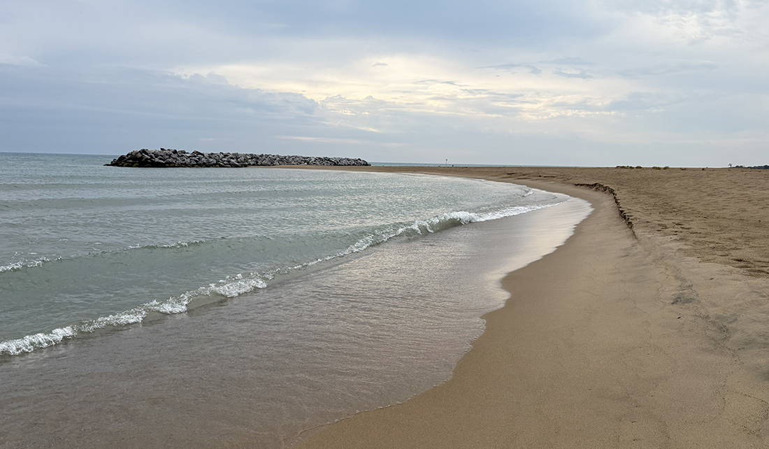Along the water's edge of a beach