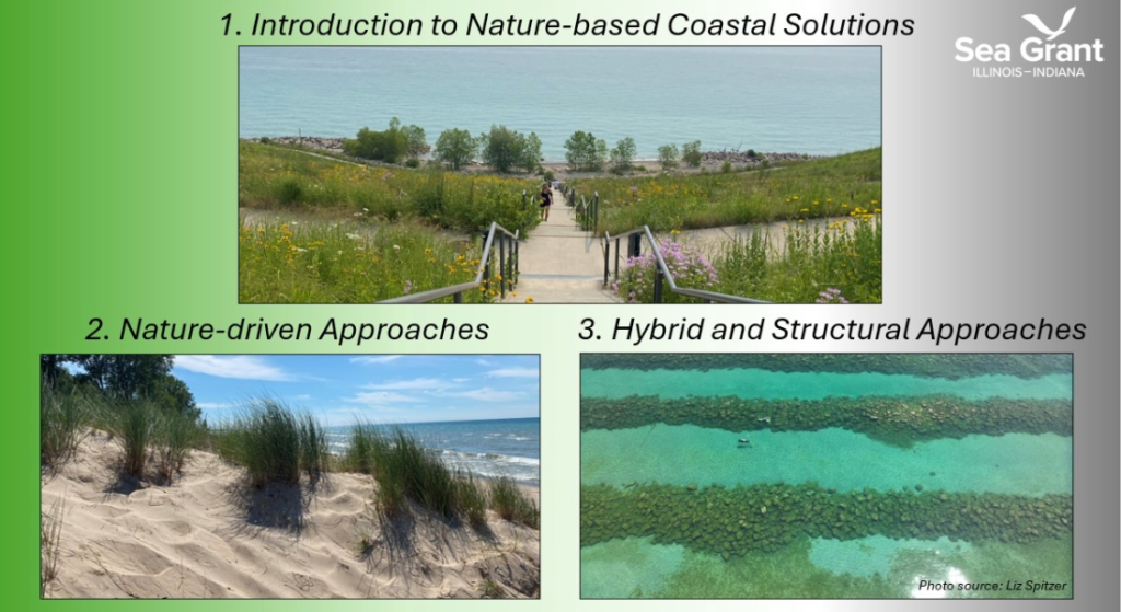 Three Images of nature-based coastal solutions with text stating the titles of each video