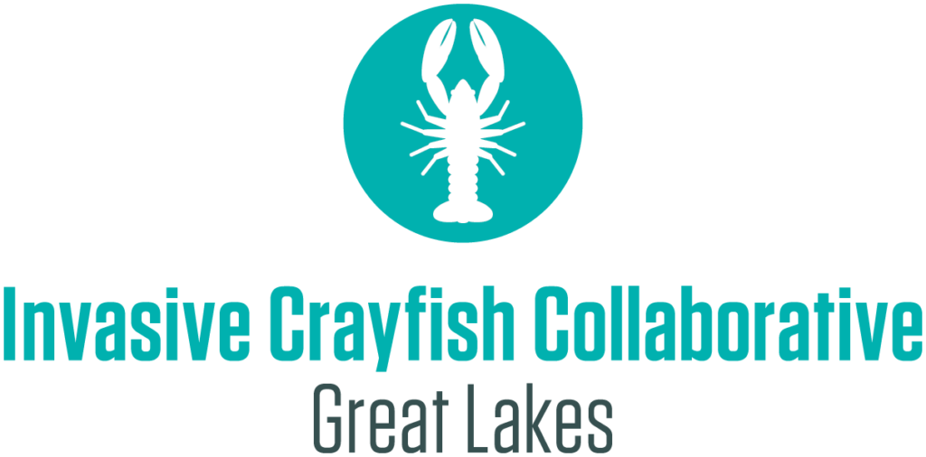 Logo for the Invasive Crayfish Collaborative Great Lakes, featuring a white crayfish silhouette inside a teal circle above teal and gray text.