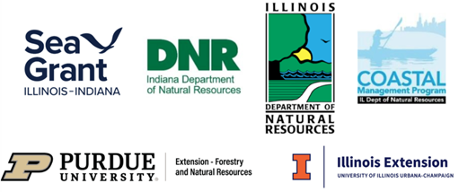 RIIS partners
