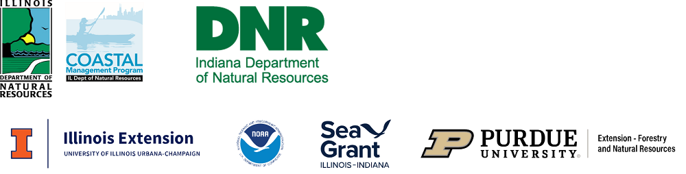 RIIS Partner Logos